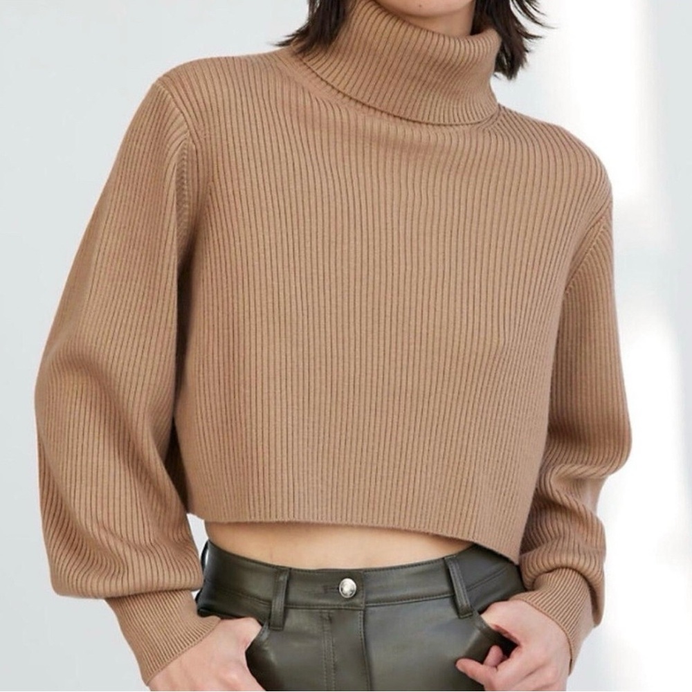 Aritzia wilfred rebecca ribbed turtleneck merino wool sweater grey beige - Picture 8 of 8